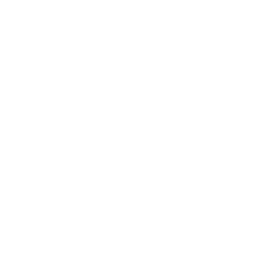 Silicon