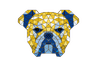 shady.Hacks 2025-2026 logo